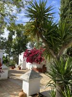 Olivenöl-Hacienda Basilippo &ndash; &copy; Birgit Kirchner (Eberhardt TRAVEL)