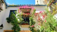 Innenhof eines Hauses in Córdoba, Andalusien, Spanien. &ndash; &copy; Martina Wegener (Eberhardt TRAVEL)