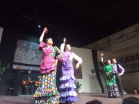 Flamenco  &ndash; &copy; Monika Cortese (Eberhardt TRAVEL)