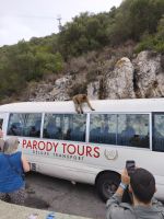 Gibraltar  &ndash; &copy; Beate Klingebiel (Eberhardt TRAVEL)