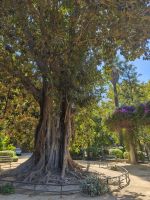 Sevilla  &ndash; &copy; Beate Klingebiel (Eberhardt TRAVEL)