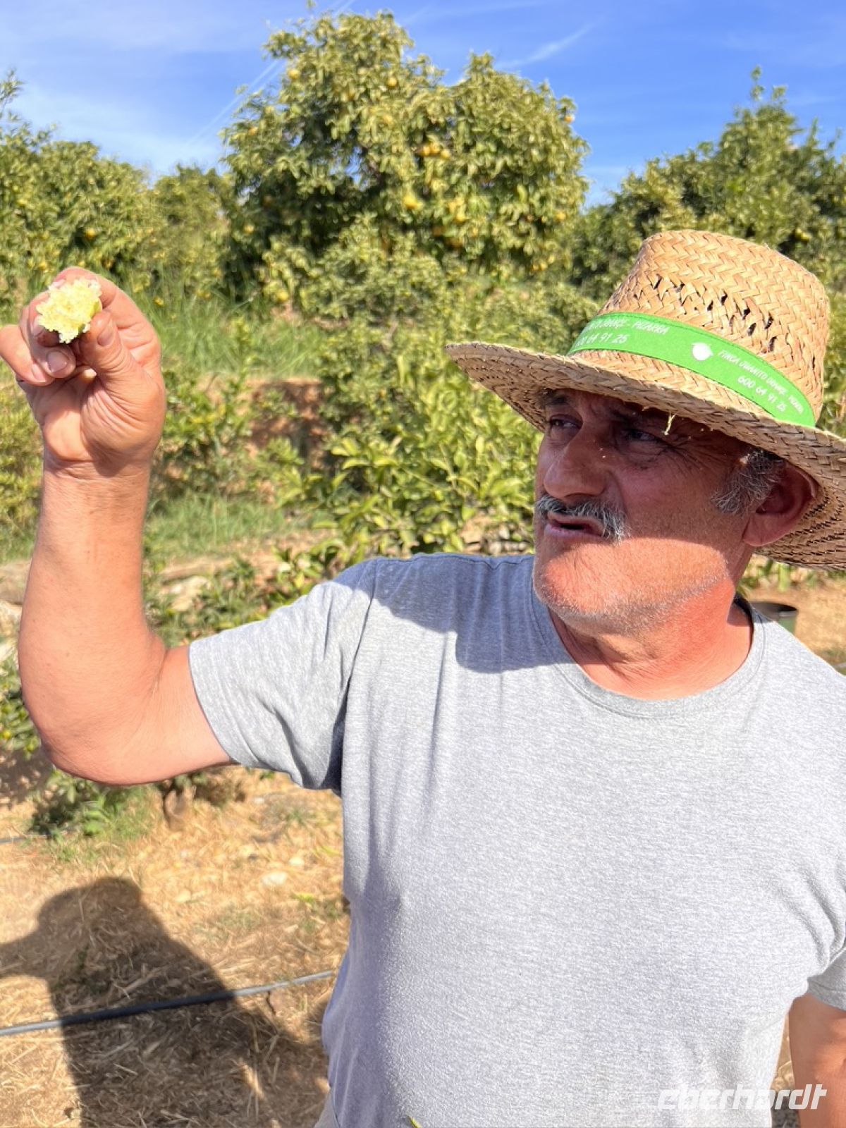 Juanito Orange.jpeg &ndash; &copy; Kora Buggel (Eberhardt TRAVEL)