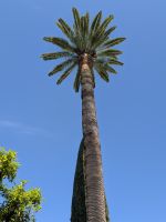 Andalusien