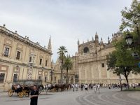 Real Alcazar, Sevilla &ndash; &copy; Sabine Reckord (Eberhardt TRAVEL)