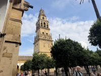 Torre Campanario vom Patio de los Naranjos, Cordoba &ndash; &copy; Sabine Reckord (Eberhardt TRAVEL)