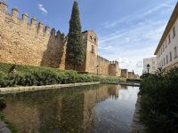 Huerta del Rey de Cordoba &ndash; &copy; Sabine Reckord (Eberhardt TRAVEL)
