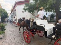 Cordoba &ndash; &copy; Sabine Reckord (Eberhardt TRAVEL)