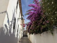 Albaicin, Granada &ndash; &copy; Sabine Reckord (Eberhardt TRAVEL)