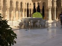 Patio de los Leones &ndash; &copy; Sabine Reckord (Eberhardt TRAVEL)