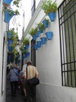 067 Cordoba Blumengasse &ndash; &copy; Ngoc Anh Nguyen (Eberhardt TRAVEL)
