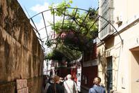 Sevilla &ndash; &copy; Francisco Javier Burgos Gutierrez (Eberhardt TRAVEL)