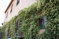 Granada &ndash; &copy; Francisco Javier Burgos Gutierrez (Eberhardt TRAVEL)