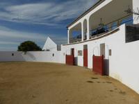Cortijo Salinas - Stierkampfarena &ndash; &copy; Dirk Schlosser (Eberhardt TRAVEL)