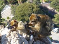 Gibraltar &ndash; &copy; Dirk Schlosser (Eberhardt TRAVEL)