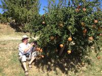 Juanito Orange &ndash; &copy; Francisco Javier Burgos Gutierrez (Eberhardt TRAVEL)