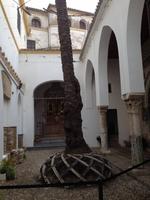 Córdoba &ndash; &copy; Francisco Javier Burgos Gutierrez (Eberhardt TRAVEL)