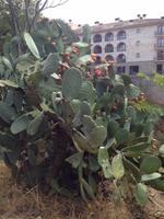 Ronda &ndash; &copy; Francisco Javier Burgos Gutierrez (Eberhardt TRAVEL)