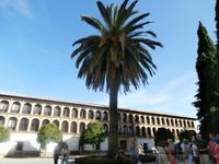 Ronda &ndash; &copy; Ingrid Langer (Eberhardt TRAVEL)