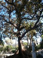 Cadiz &ndash; &copy; Ingrid Langer (Eberhardt TRAVEL)