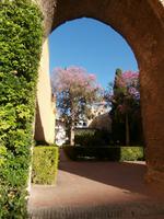 Sevilla &ndash; &copy; Ingrid Langer (Eberhardt TRAVEL)
