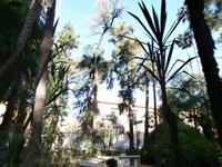 Sevilla &ndash; &copy; Ingrid Langer (Eberhardt TRAVEL)
