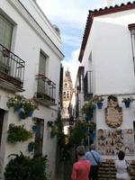 Cordoba-Blumengasse &ndash; &copy; Ingrid Langer (Eberhardt TRAVEL)