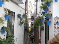 Cordoba-Blumengasse &ndash; &copy; Ingrid Langer (Eberhardt TRAVEL)