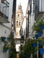 Cordoba-Blumengasse &ndash; &copy; Ingrid Langer (Eberhardt TRAVEL)