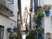 Cordoba-Blumengasse &ndash; &copy; Ingrid Langer (Eberhardt TRAVEL)