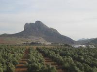 Córdoba