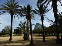 054-La_Linea