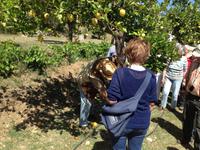 Juanito Orange &ndash; &copy; Francisco Javier Burgos Gutierrez (Eberhardt TRAVEL)