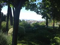 Granada &ndash; &copy; Francisco Javier Burgos Gutierrez (Eberhardt TRAVEL)