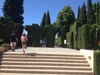 Granada &ndash; &copy; Francisco Javier Burgos Gutierrez (Eberhardt TRAVEL)
