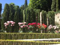 Granada &ndash; &copy; Francisco Javier Burgos Gutierrez (Eberhardt TRAVEL)