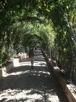 Granada &ndash; &copy; Francisco Javier Burgos Gutierrez (Eberhardt TRAVEL)