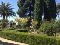 Granada &ndash; &copy; Francisco Javier Burgos Gutierrez (Eberhardt TRAVEL)