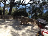 Gibraltar &ndash; &copy; Francisco Javier Burgos Gutierrez (Eberhardt TRAVEL)