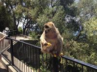 Gibraltar &ndash; &copy; Francisco Javier Burgos Gutierrez (Eberhardt TRAVEL)