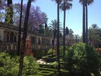 Sevilla &ndash; &copy; Francisco Javier Burgos Gutierrez (Eberhardt TRAVEL)