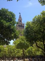 Sevilla &ndash; &copy; Francisco Javier Burgos Gutierrez (Eberhardt TRAVEL)
