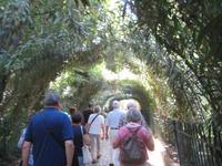 Granada45 &ndash; &copy; Francisco Javier Burgos Gutierrez (Eberhardt TRAVEL)