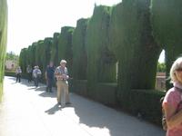 Granada55 &ndash; &copy; Francisco Javier Burgos Gutierrez (Eberhardt TRAVEL)