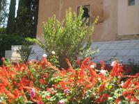 Granada98 &ndash; &copy; Francisco Javier Burgos Gutierrez (Eberhardt TRAVEL)