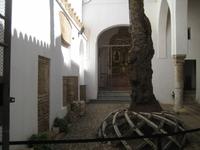 Cordoba11 &ndash; &copy; Francisco Javier Burgos Gutierrez (Eberhardt TRAVEL)