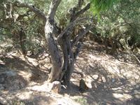 Gibraltar23 &ndash; &copy; Francisco Javier Burgos Gutierrez (Eberhardt TRAVEL)