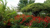 Granada &ndash; &copy; Julia Dressler (Eberhardt TRAVEL)