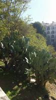 Ronda &ndash; &copy; Julia Dressler (Eberhardt TRAVEL)