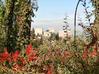 Gärten des Generalife &ndash; &copy; Ingrid Langer (Eberhardt TRAVEL)
