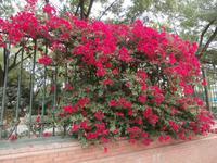 Sevilla &ndash; &copy; Ingrid Langer (Eberhardt TRAVEL)
